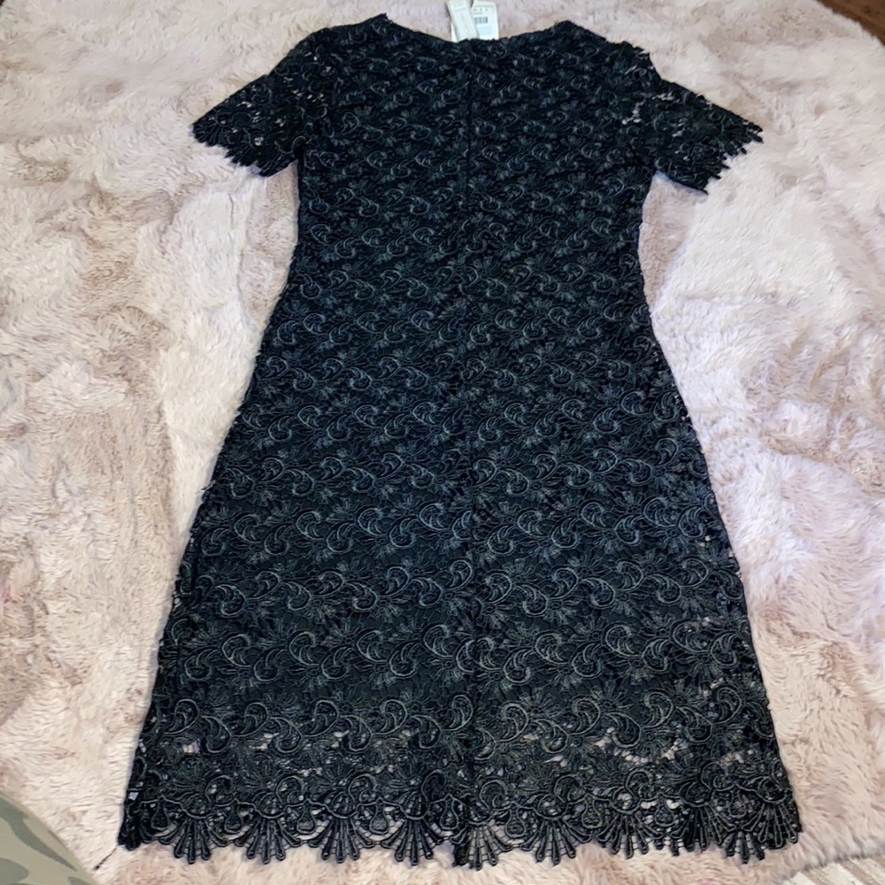 Zara Collection black lace shortsleeve dress cocktail wedding dressy NWT Small​​ - Picture 15 of 15